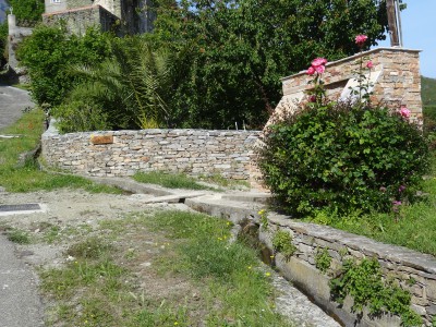 Image Thumbnail