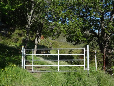 Image Thumbnail